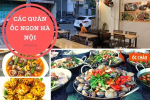 Địa chỉ 15 quán ốc ngon ở Hà Nội, cầu giấy, hà đông bỏ lỡ cực kì nuối tiếc