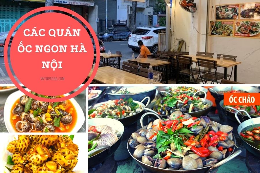 Địa chỉ 15 quán ốc ngon ở Hà Nội, cầu giấy, hà đông bỏ lỡ cực kì nuối tiếc